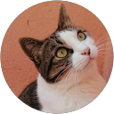 Molly91 91 profile picture