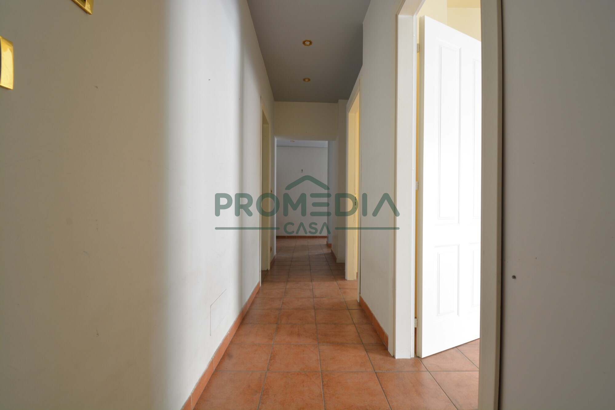 c7eaa222-44fd-4b2d-943e-cfb3842c2c5f-2