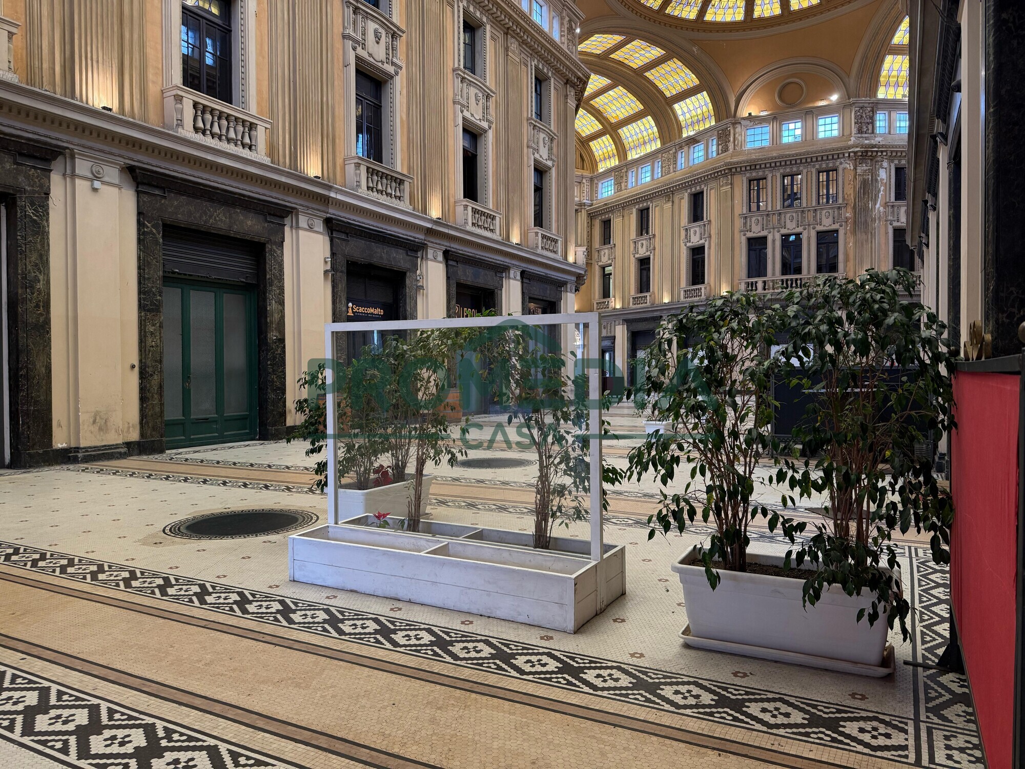 d85046bf-b1d3-4d8d-99dd-b89a5da6a065-2