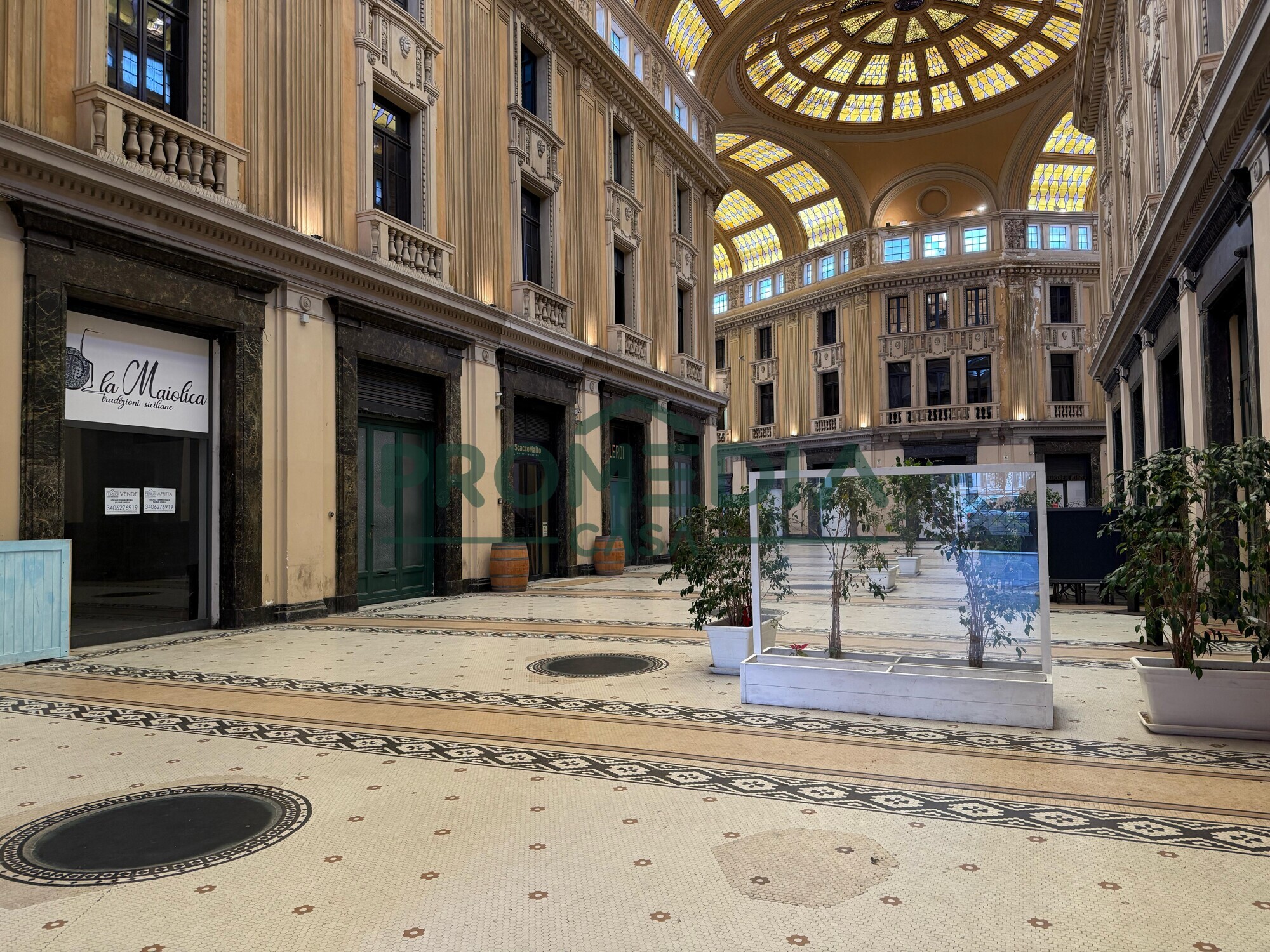 f9fed9cd-af82-4b80-98d1-da9c2934d452