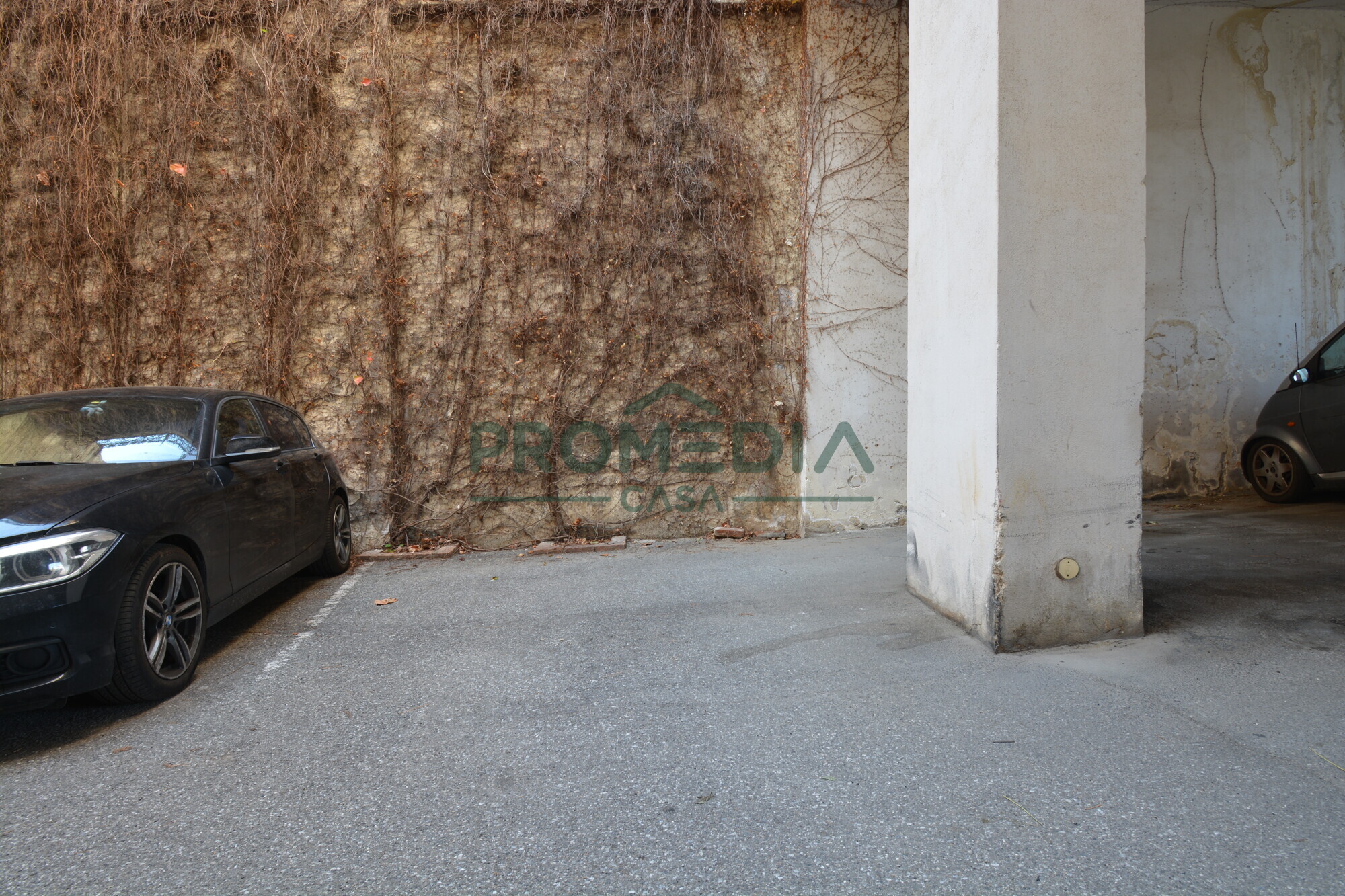 e1781a98-71e6-4801-ba80-2deec11046b9-2